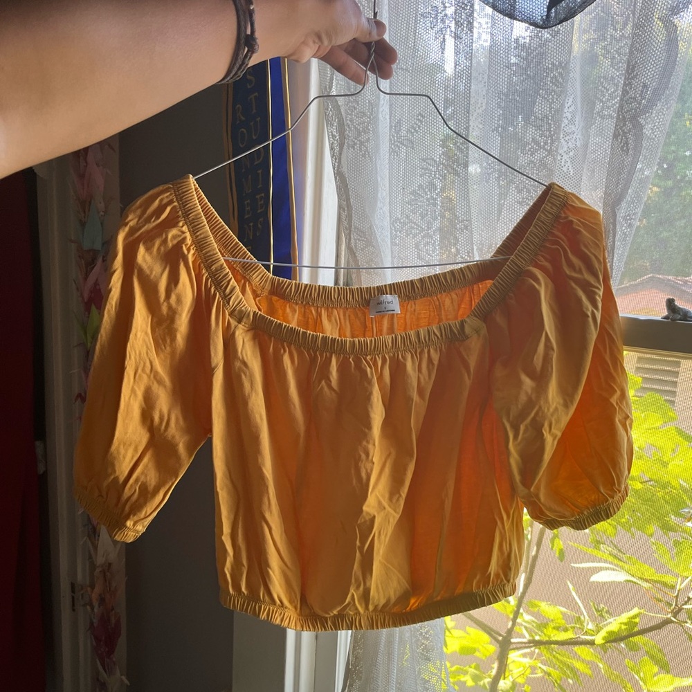 wilfred crop top